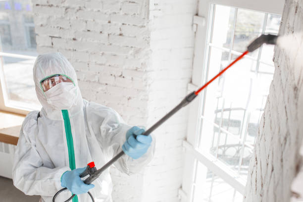Best Industrial Mold Remediation  in Williamsburg, KY