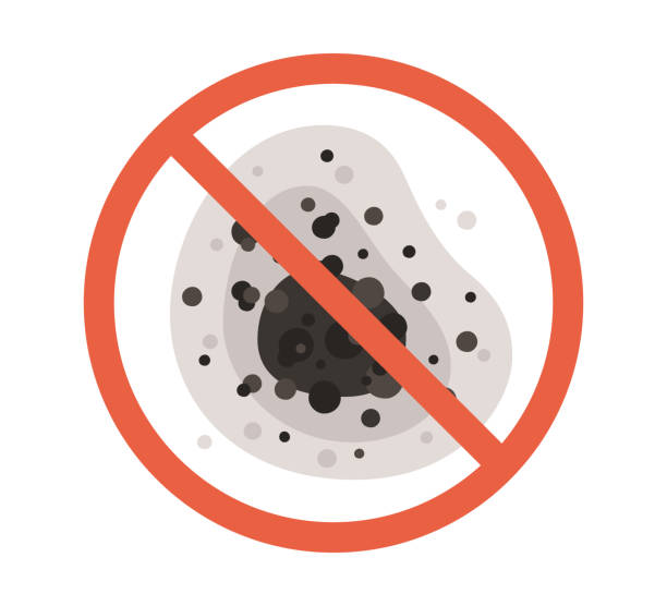 Trusted Williamsburg, KY Mold Removal Experts