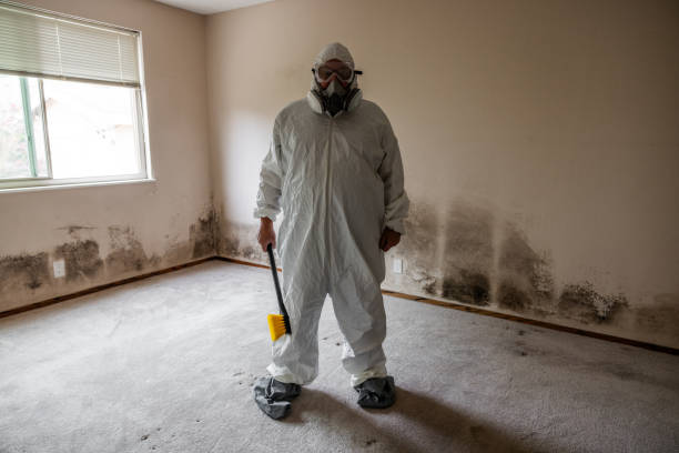 Best HVAC Mold Inspection and Cleaning  in Williamsburg, KY